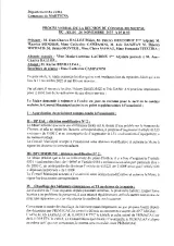 Aperçu du compte rendu du Procès verbal - Conseil municipal du 24 novembre 2022